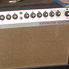 Epiphone: EA-26 RVT Electra