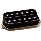 Seymour Duncan: Warren Demartini Sig