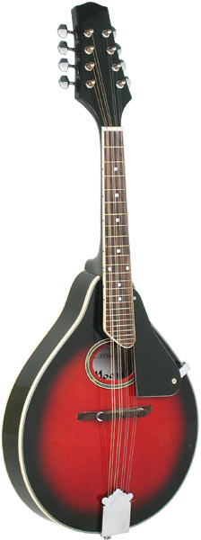 GR3106 Mandolin Review: If it was stolen, it wouldn't be a huge