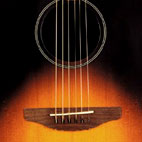 Ovation: 1861 Balladeer