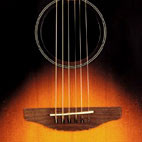 Ovation: 1861 Balladeer