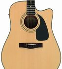 Fender: DG-10CE