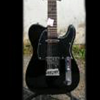 Custom Guitar Workshop: TE-2