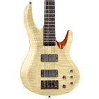 ESP: LTD B-204FM