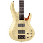 ESP: LTD B-204FM