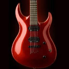 Washburn: WM24PROE
