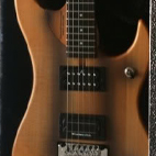 Washburn: N24