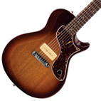 Paul Reed Smith: SE One