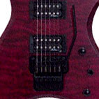B.C. Rich: NJ Beast