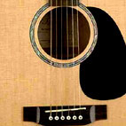 Takamine: EG530SC