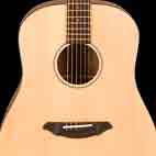 Breedlove: D20/FS