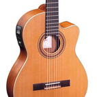 Ortega: RCE-131