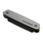 Fishman: Neo-D Magnetic Soundhole
