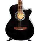 Ts-Ideen: 4513 4/4 Western Cutaway