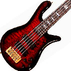 Spector: Euro 5