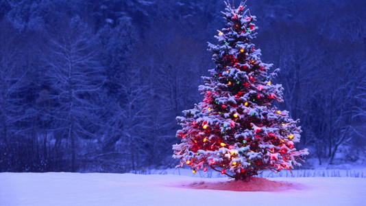 Playing 5 Christmas Songs with 3 Chords