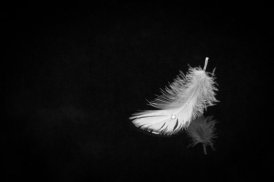 Finding the Incredible Lightness