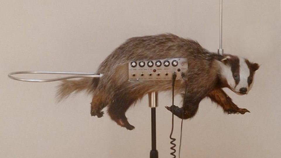 7 Weird Instruments You Might Find Interesting Ultimate Guitar