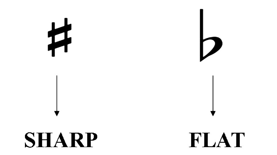 Announcement а New Toggle Between Sharp and Flats Ultimate Guitar