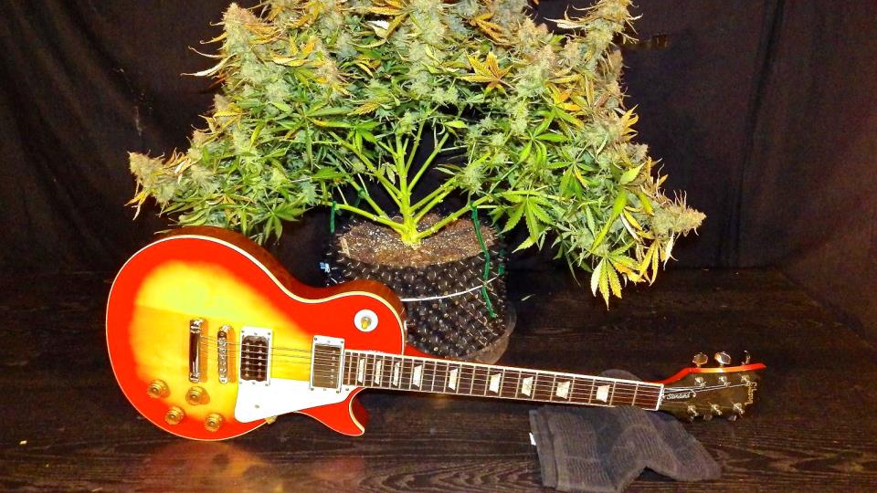 Learn Something: How to Play Complicated Music Live While Being High Learn Something: How to Play Complicated Music Live While Being High