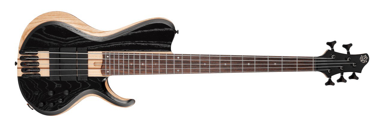 Ibanez Releases First-Ever Fretless Headless Design Bass