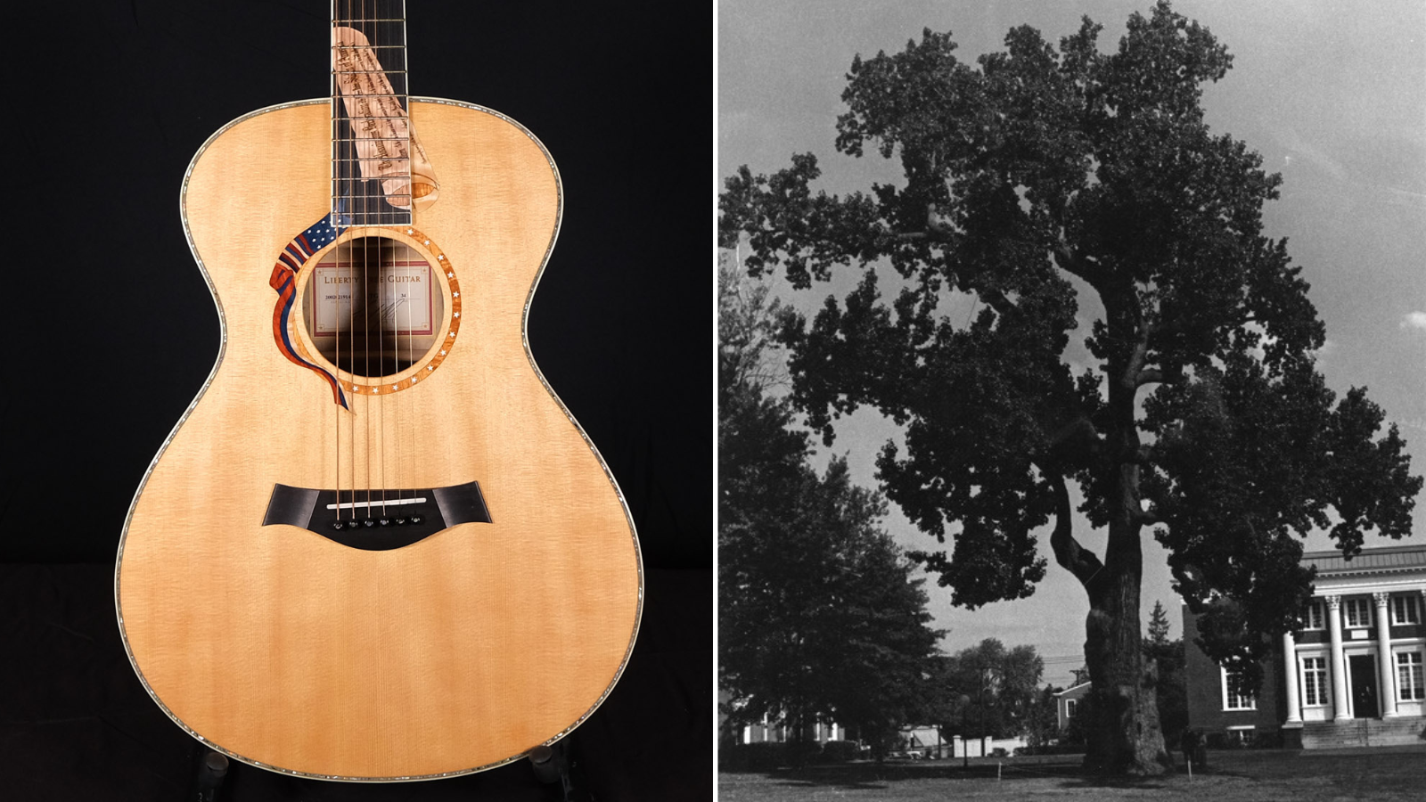 Liberty guitar company hotsell