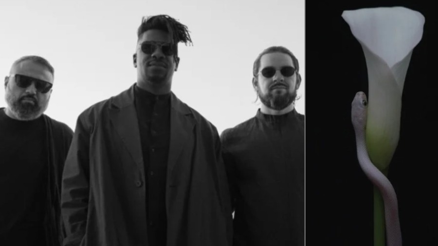 Animals As Leaders Announce 1st Album In 6 Years Streaming New Single Music News Ultimate Guitar Com Animals As Leaders Announce 1st Album In 6 Years Streaming New Single Music News Ultimate Guitar Com