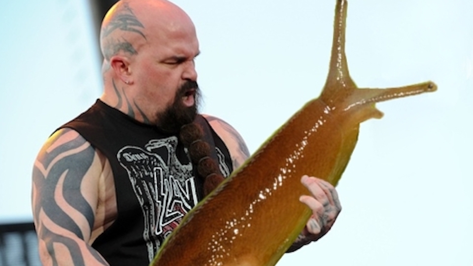 Slayer's Kerry King: Do I Ever Get Sick of Heavy Metal Music