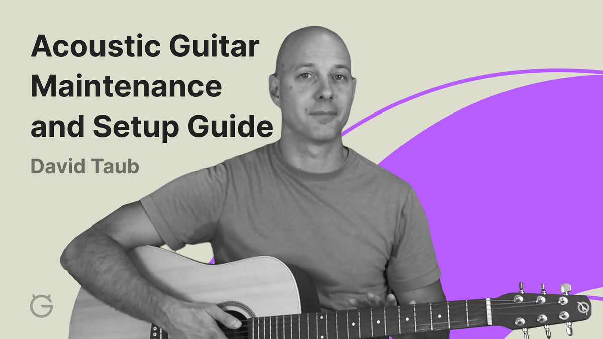 Acoustic Guitar Maintenance and Setup Guide by David Taub