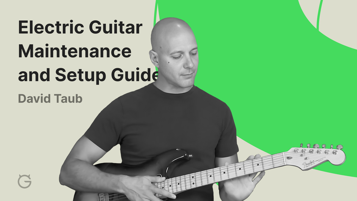 Electric Guitar Maintenance and Setup Guide by David Taub Ultimate