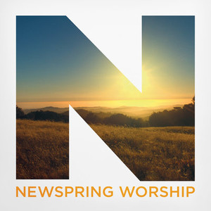 JESUS SAVIOR OF THE WORLD CHORDS by NewSpring Worship @ Ultimate-Guitar.Com