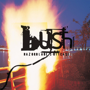 History cover art