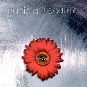 Memoir cover art