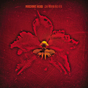 Five cover art