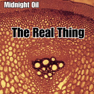 The Real Thing cover art