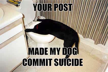 To make a post