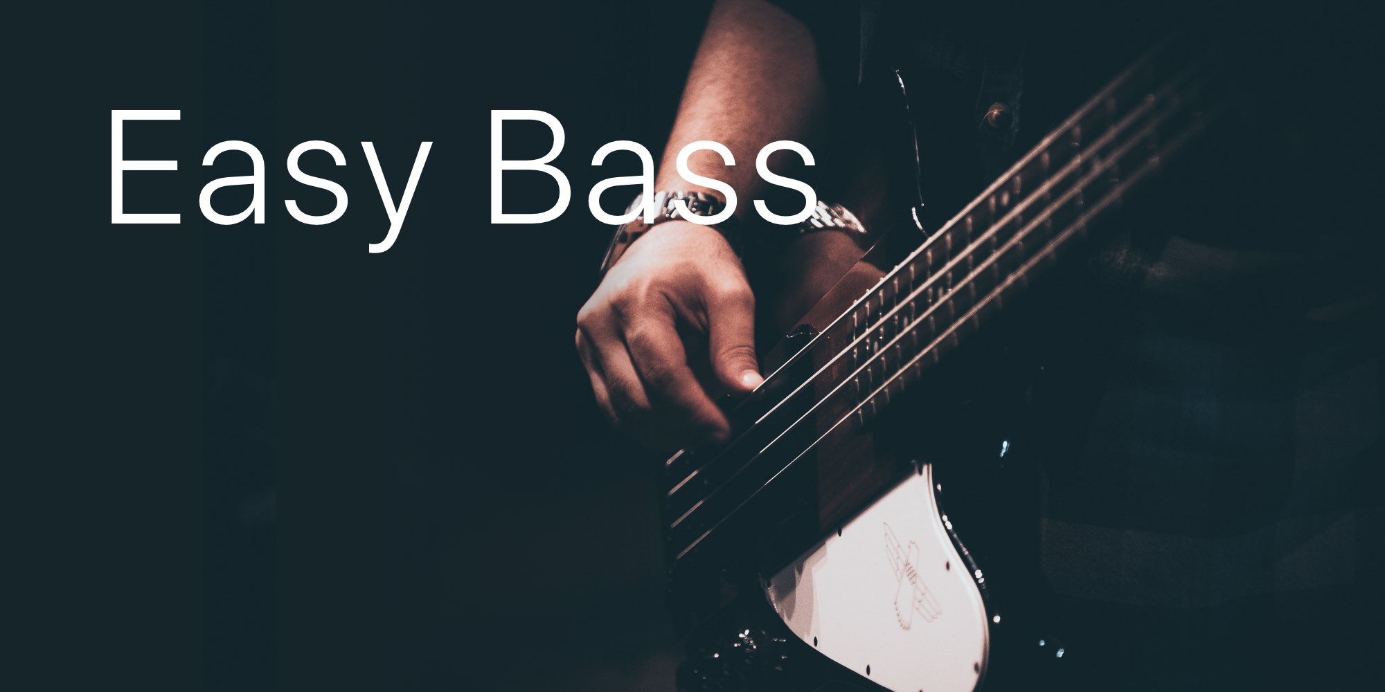 Easy Bass Chords and Tabs Collection