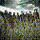 shadowkid33