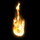 leviticus_22953