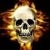 UltimateGuitar profile picture for @BAG