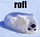 Doogy-Style