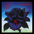 UltimateGuitar profile picture for @Stranglehold