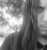 UltimateGuitar profile picture for @deformity