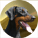 UltimateGuitar profile picture for @Dusky