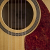 UltimateGuitar profile picture for @Avs