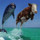 mrxtreme_4