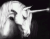UltimateGuitar profile picture for @pegasus