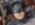ProjectDark