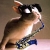 UltimateGuitar profile picture for @Imagines
