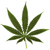 UltimateGuitar profile picture for @Climate
